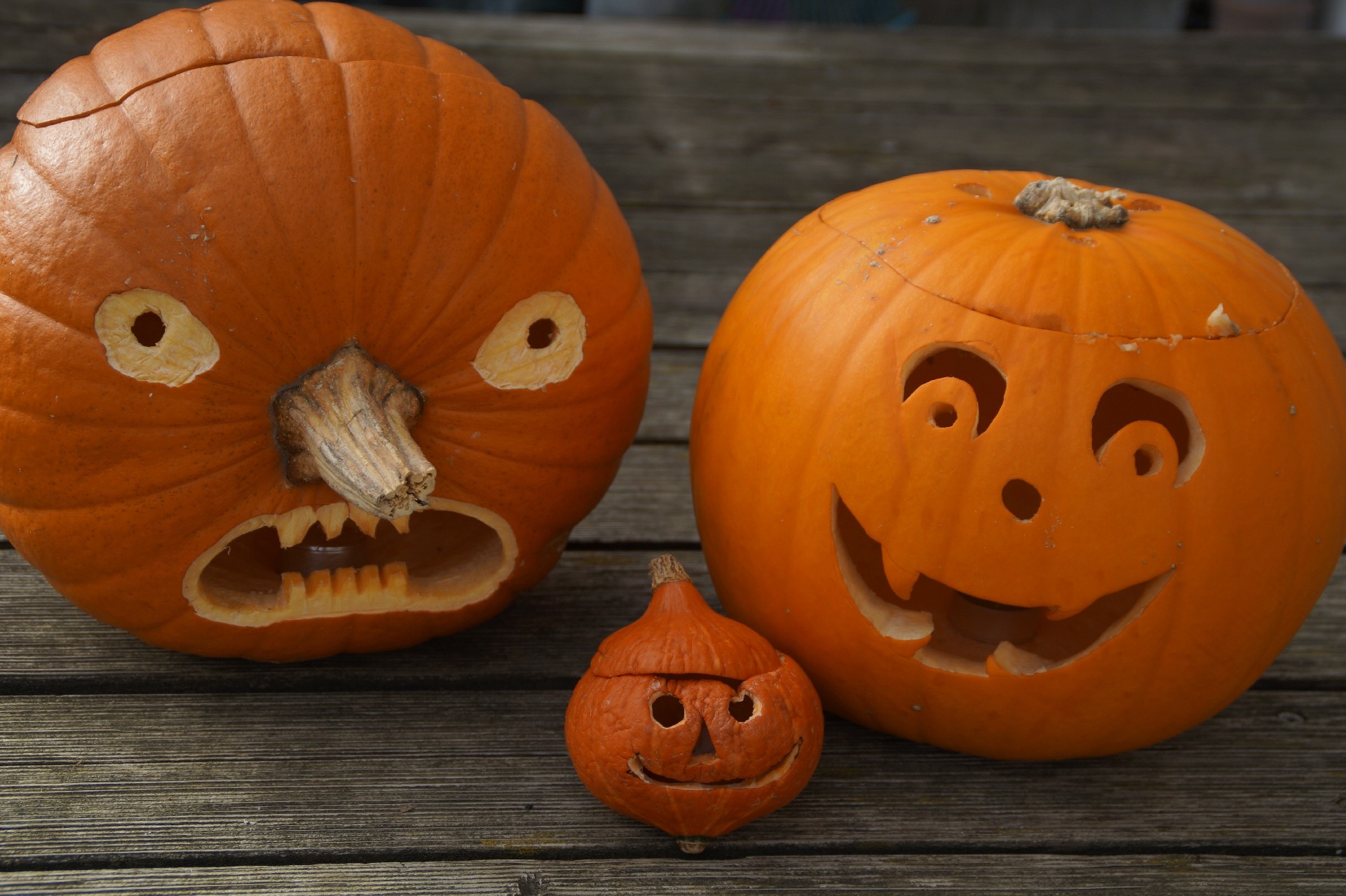 decoration-orange-autumn-pumpkin-halloween-holiday-770729-pxhere.com(1).jpg